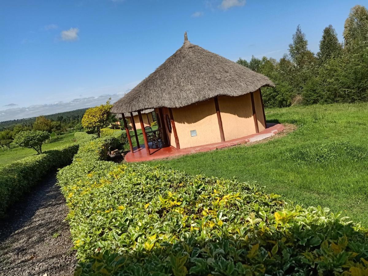 The Great Circle Lodge 纳纽基 外观 照片
