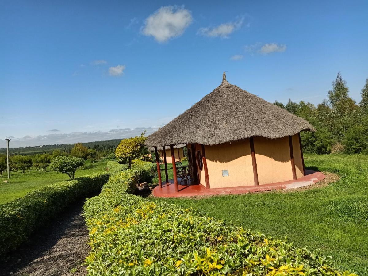The Great Circle Lodge 纳纽基 外观 照片