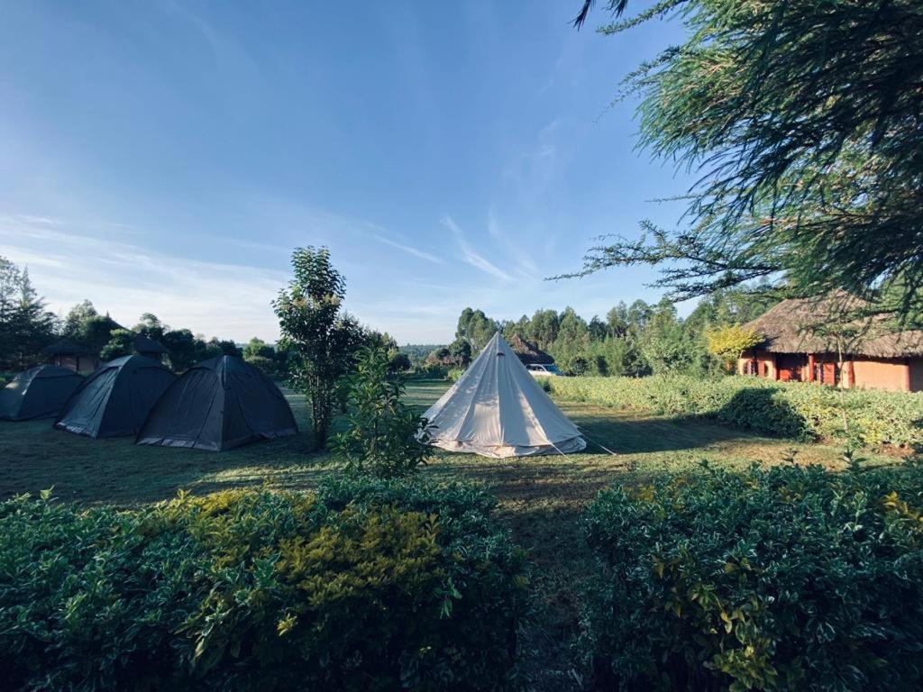 The Great Circle Lodge 纳纽基 外观 照片