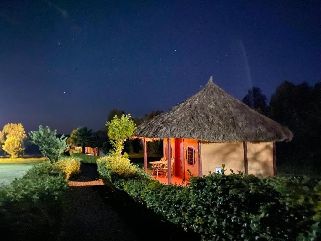 The Great Circle Lodge 纳纽基 外观 照片