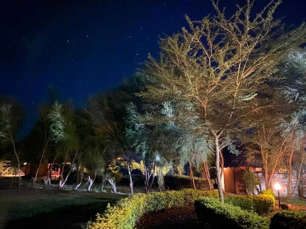 The Great Circle Lodge 纳纽基 外观 照片
