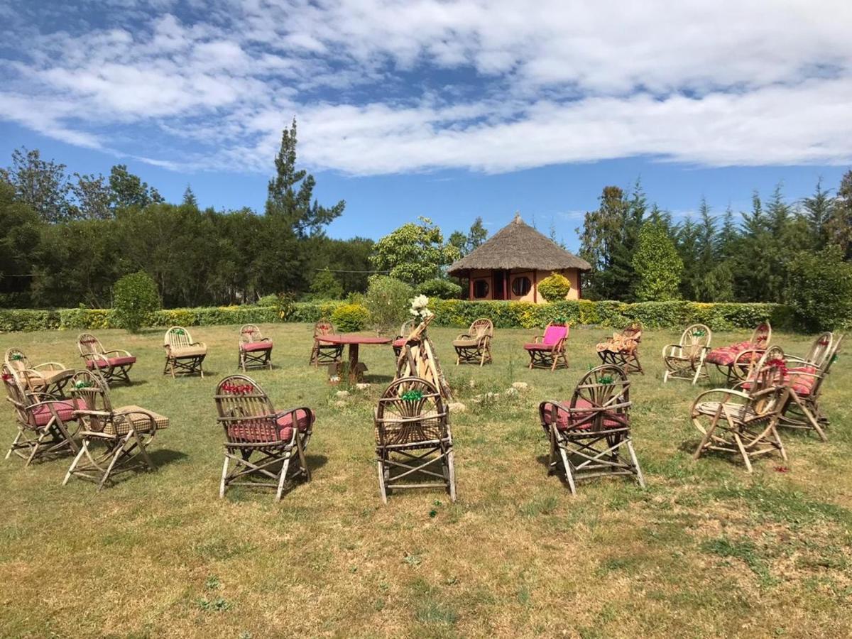 The Great Circle Lodge 纳纽基 外观 照片