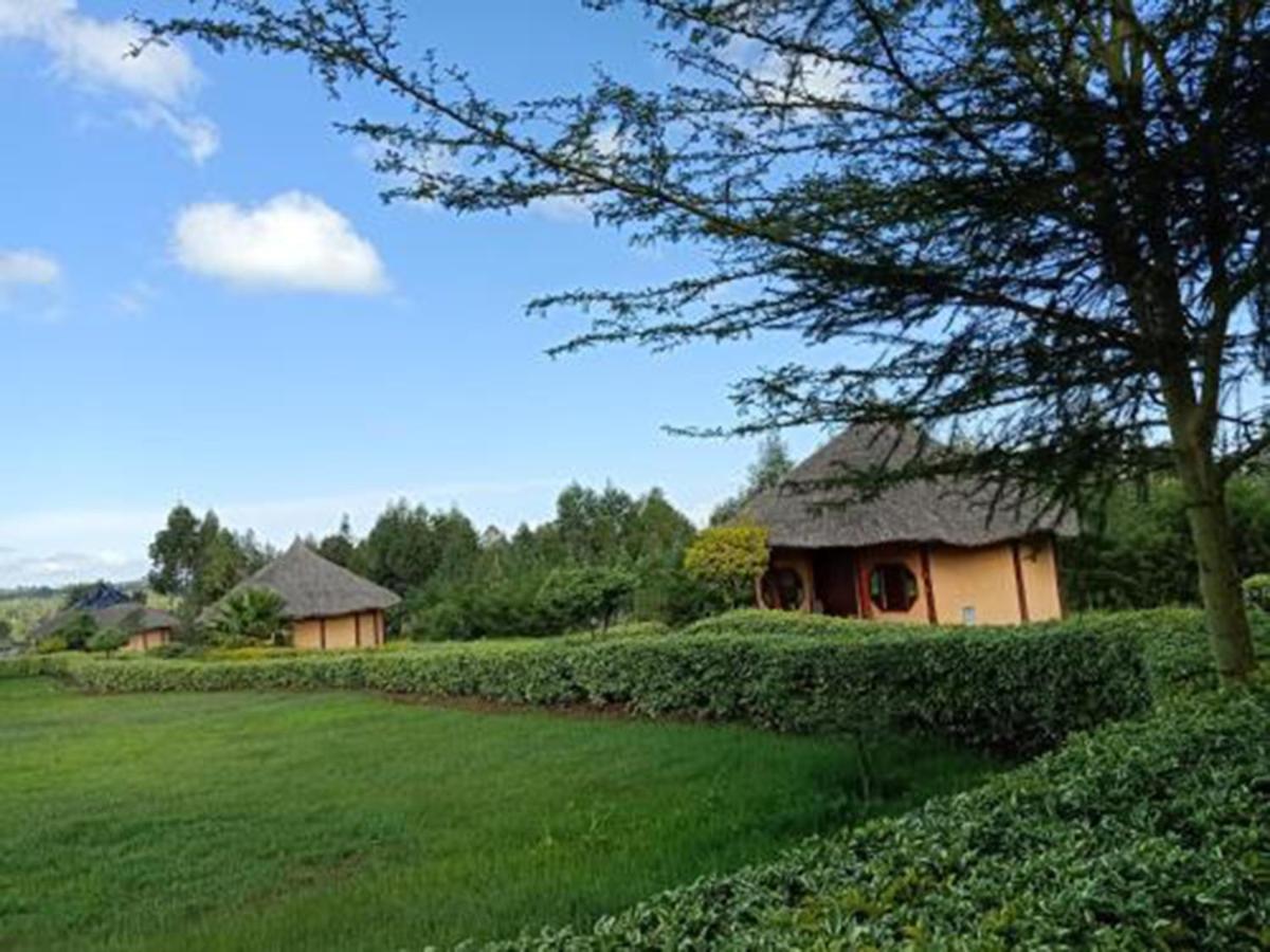 The Great Circle Lodge 纳纽基 外观 照片